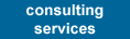 consulting services